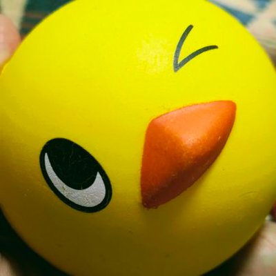 古木＠大阪関西万博楽しむ派's profile picture