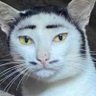 Profilbild von Jelqing in the Goon Cave