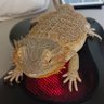 ohhellnaw profil fotoğrafı