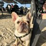 Digão profil fotoğrafı