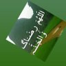 شاهين السلمان 的头像
