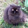 Laura T.'s profile picture