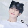 캐럿은 오늘도 캐럿해요🩵 profil fotoğrafı