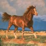 AlbertJoransen.com's profile picture