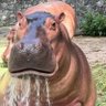 Profilbild von Janty