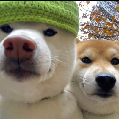 Green Hat's profile picture