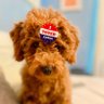 ˜”*°•..MAGA 🇺🇸 GAL•°*”˜ 的头像