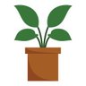 🌱 Plant Based 🌱's profile picture