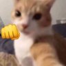 Moonchild1's profile picture