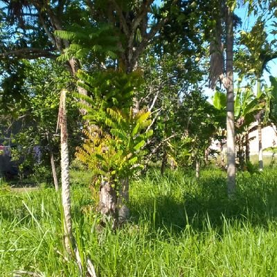 Ridha hyper's profile picture