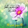 Фото профиля Ali Alsobhy