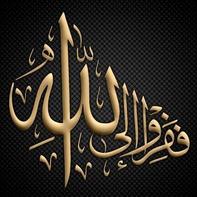 OutikSaadi2748's profile picture