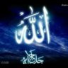Ramy Ahmed's profile picture