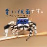 Фото профиля リト( ง*`꒳´*)ว リト