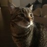 Mags's profile picture