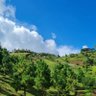 Фото профиля ANDERSON SMITH