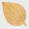 Фото профиля දුෂාන් සේනාරත්න
