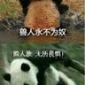 guiguzi 的头像
