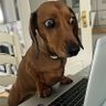 iza's profile picture