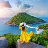 Amazing Travel 的头像