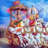 Maadhava Gupta's profile picture