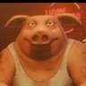 Profilbild von Mr Piggy