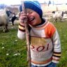 چوپان دروغگو's profile picture