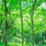 Фото профиля 風