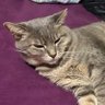 Océ's profile picture
