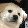 ก็นี่จะเป็นแม่อะ's profile picture