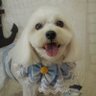 めんたいこ's profile picture