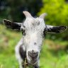 ゆこ profil fotoğrafı