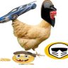 AyamKrispy | Racing Games Enthusiast 的头像