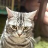 ふみ profil fotoğrafı