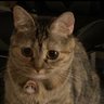 Profilbild von Refin