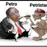 Carlos Alfredo pinto Valencia's profile picture