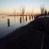 Moki's profile picture