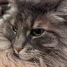 Фото профиля pons999:🎀🐾⚒️☄️⛄🌽🌃🥐♌🦀♥🌸⚓️