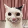 nox's profile picture