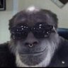 Profilbild von Fernvndo