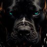 blackety-black yall profil fotoğrafı