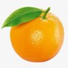 Profilbild von 🍊renjiji