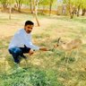 🇮🇳 Omprakash Bishnoi 🇮🇳's profile picture