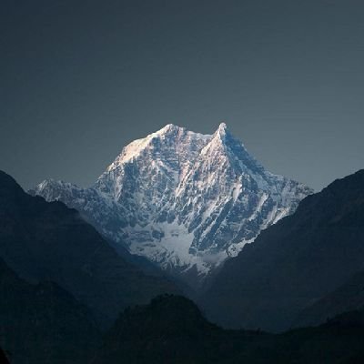 alhafig's profile picture