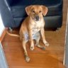 la maquina td3 profil fotoğrafı