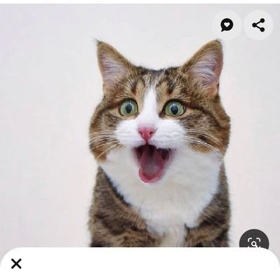 ME CONTA !!!'s profile picture