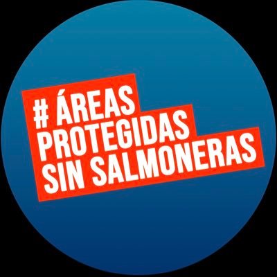 SinSalmoneras's profile picture