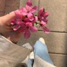 د.ابتسام الحربي🇸🇦 的头像