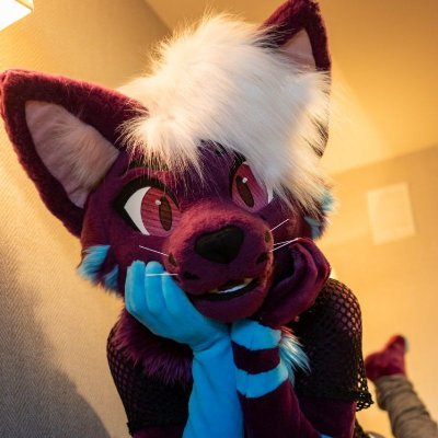 MeepsKitten's profile picture
