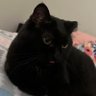 peach gal🔆💖 profil fotoğrafı